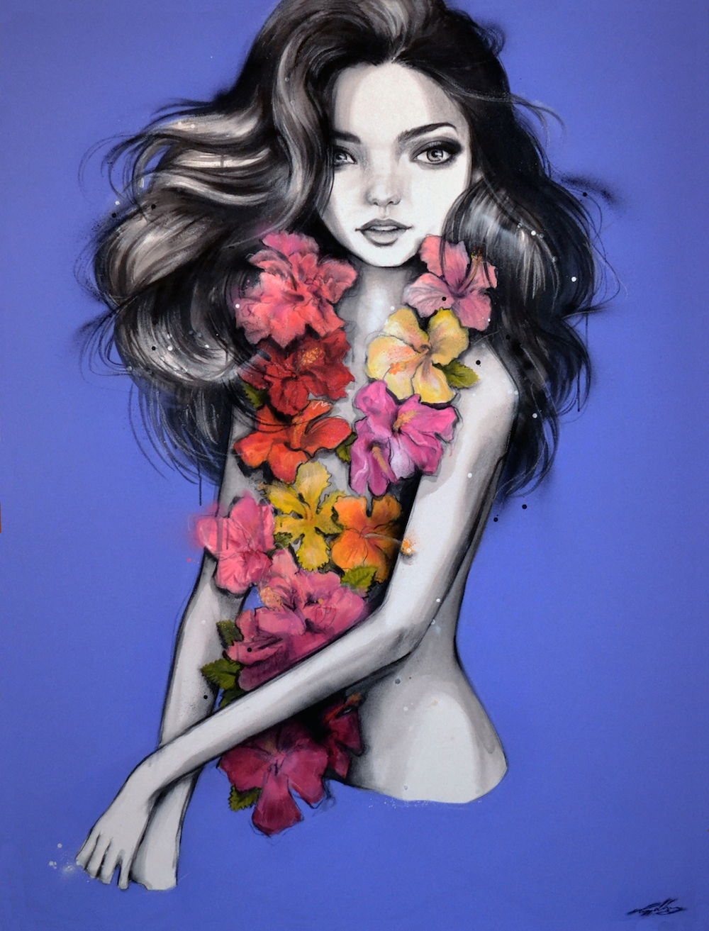 'Hibiscus, Hydrangea & Miranda'